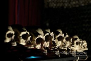 proof-neurodance_3-06-013