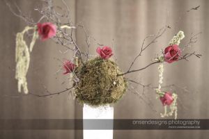 Proof-Jen_and_Tashko_wedding-2011-002